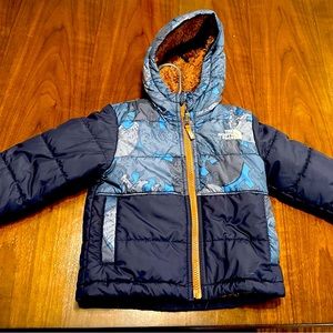 The North Face Puffer Fleece Hoodie